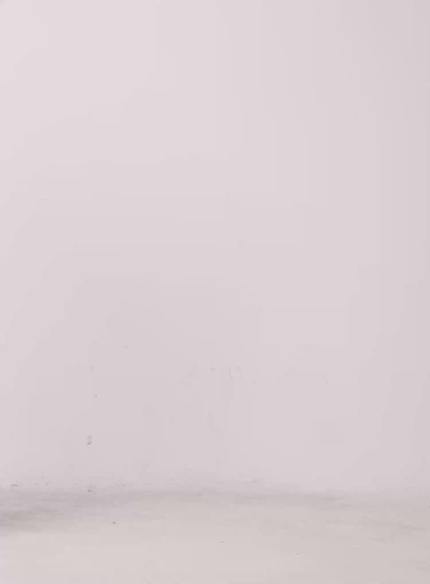 Ribbed Eyelet Midi Skirt IL528